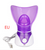 Hot-selling ion hot spray steamer Home steam beauty instrument